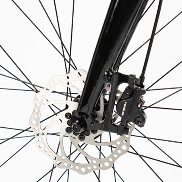 Ceres eZy 700C Alloy Fixie Belt Drive Single Speed Bike